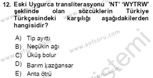 Uygur Türkçesi Dersi 2020 - 2021 Yılı Yaz Okulu Sınavı 12. Soru