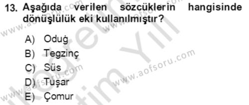 Uygur Türkçesi Dersi 2020 - 2021 Yılı Yaz Okulu Sınavı 13. Soru