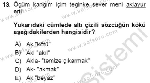 Uygur Türkçesi Dersi 2021 - 2022 Yılı (Final) Dönem Sonu Sınavı 13. Soru