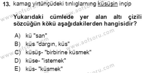 Uygur Türkçesi Dersi 2021 - 2022 Yılı Yaz Okulu Sınavı 13. Soru