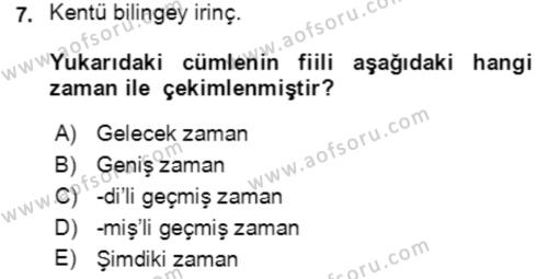 Uygur Türkçesi Dersi 2021 - 2022 Yılı Yaz Okulu Sınavı 7. Soru