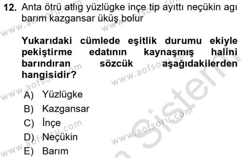 Uygur Türkçesi Dersi 2022 - 2023 Yılı Yaz Okulu Sınavı 12. Soru