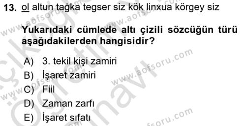 Uygur Türkçesi Dersi 2022 - 2023 Yılı Yaz Okulu Sınavı 13. Soru