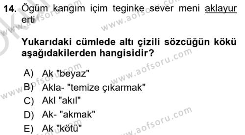 Uygur Türkçesi Dersi 2022 - 2023 Yılı Yaz Okulu Sınavı 14. Soru