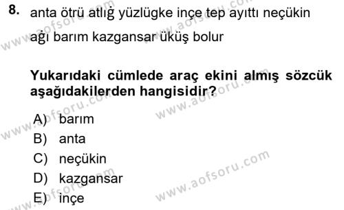 Uygur Türkçesi Dersi 2023 - 2024 Yılı (Final) Dönem Sonu Sınavı 8. Soru