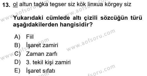 Uygur Türkçesi Dersi 2023 - 2024 Yılı Yaz Okulu Sınavı 13. Soru