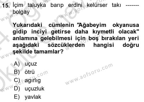 Uygur Türkçesi Dersi 2023 - 2024 Yılı Yaz Okulu Sınavı 15. Soru