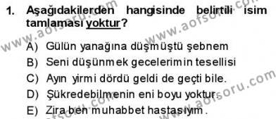 Türkçe Cümle Bilgisi 1 Dersi 2013 - 2014 Yılı (Vize) Ara Sınavı 1. Soru