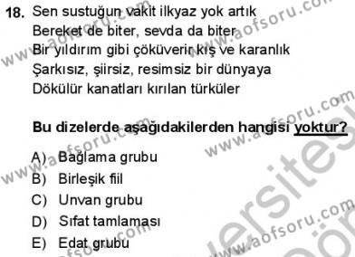 Türkçe Cümle Bilgisi 1 Dersi 2013 - 2014 Yılı (Final) Dönem Sonu Sınavı 18. Soru