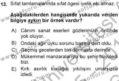Türkçe Cümle Bilgisi 1 Dersi 2015 - 2016 Yılı (Vize) Ara Sınavı 13. Soru