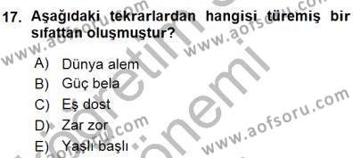 Türkçe Cümle Bilgisi 1 Dersi 2015 - 2016 Yılı (Vize) Ara Sınavı 17. Soru