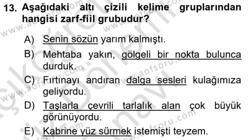 Türkçe Cümle Bilgisi 1 Dersi 2019 - 2020 Yılı (Final) Dönem Sonu Sınavı 13. Soru