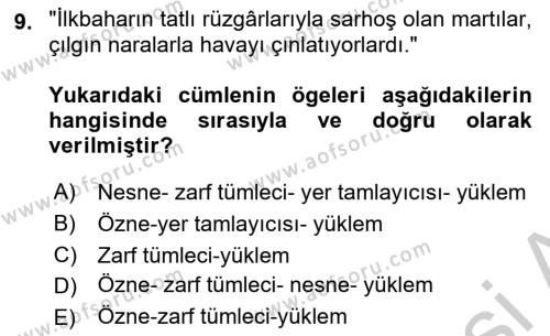 Türkçe Cümle Bilgisi 2 Dersi 2016 - 2017 Yılı (Vize) Ara Sınavı 9. Soru