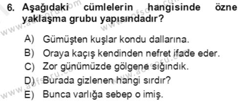 Türkçe Cümle Bilgisi 2 Dersi 2017 - 2018 Yılı (Final) Dönem Sonu Sınavı 6. Soru