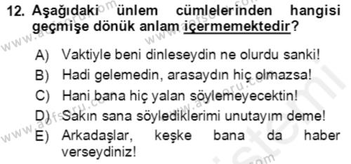 Türkçe Cümle Bilgisi 2 Dersi 2018 - 2019 Yılı (Final) Dönem Sonu Sınavı 12. Soru