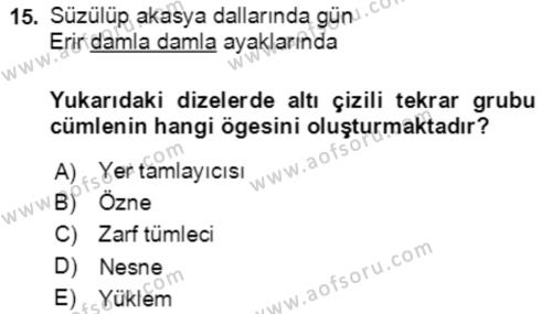 Türkçe Cümle Bilgisi 2 Dersi 2018 - 2019 Yılı (Final) Dönem Sonu Sınavı 15. Soru