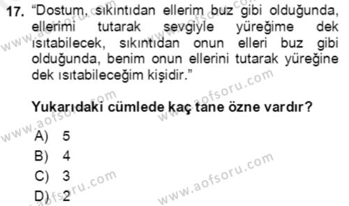 Türkçe Cümle Bilgisi 2 Dersi 2018 - 2019 Yılı (Final) Dönem Sonu Sınavı 17. Soru