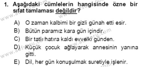 Türkçe Cümle Bilgisi 2 Dersi 2020 - 2021 Yılı Yaz Okulu Sınavı 1. Soru