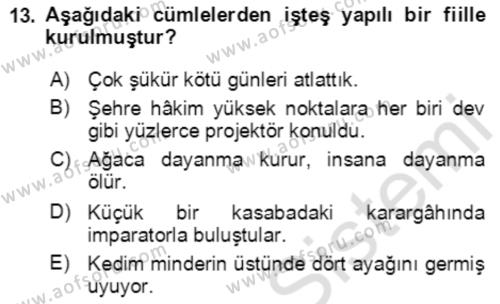 Türkçe Cümle Bilgisi 2 Dersi 2020 - 2021 Yılı Yaz Okulu Sınavı 13. Soru