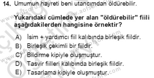 Türkçe Cümle Bilgisi 2 Dersi 2020 - 2021 Yılı Yaz Okulu Sınavı 14. Soru