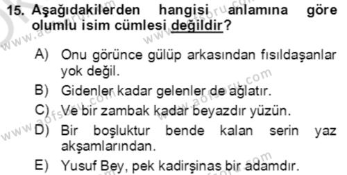 Türkçe Cümle Bilgisi 2 Dersi 2020 - 2021 Yılı Yaz Okulu Sınavı 15. Soru