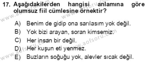 Türkçe Cümle Bilgisi 2 Dersi 2020 - 2021 Yılı Yaz Okulu Sınavı 17. Soru