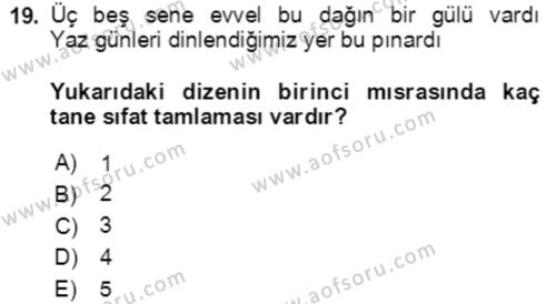 Türkçe Cümle Bilgisi 2 Dersi 2020 - 2021 Yılı Yaz Okulu Sınavı 19. Soru