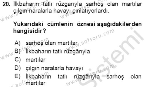 Türkçe Cümle Bilgisi 2 Dersi 2020 - 2021 Yılı Yaz Okulu Sınavı 20. Soru