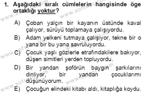 Türkçe Cümle Bilgisi 2 Dersi 2021 - 2022 Yılı (Vize) Ara Sınavı 1. Soru