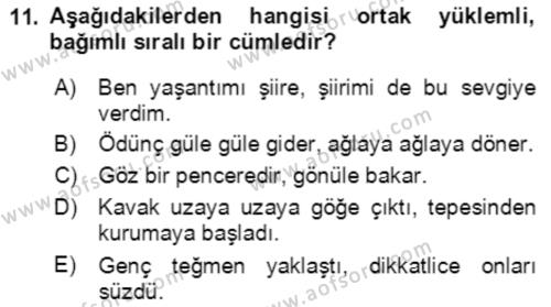 Türkçe Cümle Bilgisi 2 Dersi 2021 - 2022 Yılı (Vize) Ara Sınavı 11. Soru