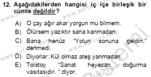 Türkçe Cümle Bilgisi 2 Dersi 2021 - 2022 Yılı (Vize) Ara Sınavı 12. Soru