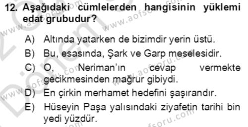 Türkçe Cümle Bilgisi 2 Dersi 2021 - 2022 Yılı (Final) Dönem Sonu Sınavı 12. Soru