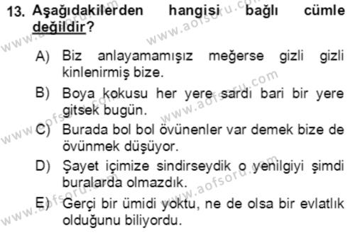 Türkçe Cümle Bilgisi 2 Dersi 2021 - 2022 Yılı (Final) Dönem Sonu Sınavı 13. Soru