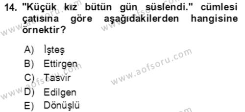 Türkçe Cümle Bilgisi 2 Dersi 2021 - 2022 Yılı (Final) Dönem Sonu Sınavı 14. Soru