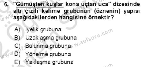 Türkçe Cümle Bilgisi 2 Dersi 2021 - 2022 Yılı (Final) Dönem Sonu Sınavı 6. Soru