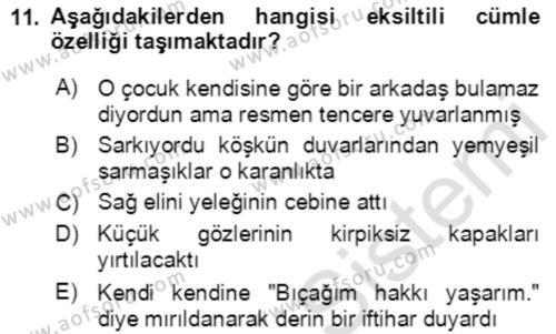 Türkçe Cümle Bilgisi 2 Dersi 2021 - 2022 Yılı Yaz Okulu Sınavı 11. Soru