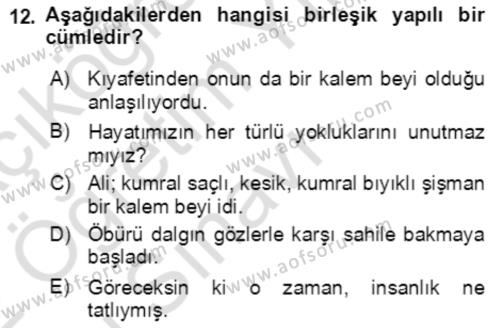 Türkçe Cümle Bilgisi 2 Dersi 2021 - 2022 Yılı Yaz Okulu Sınavı 12. Soru