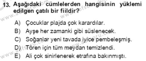 Türkçe Cümle Bilgisi 2 Dersi 2021 - 2022 Yılı Yaz Okulu Sınavı 13. Soru