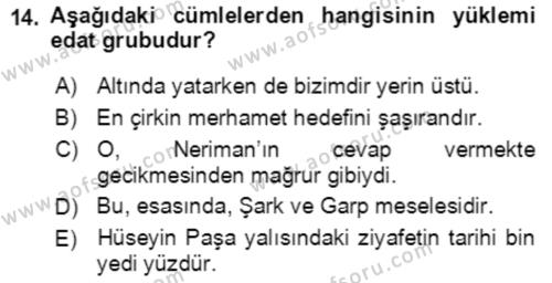 Türkçe Cümle Bilgisi 2 Dersi 2021 - 2022 Yılı Yaz Okulu Sınavı 14. Soru