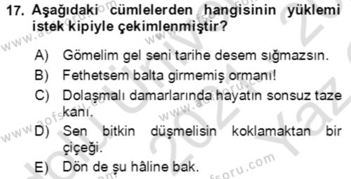 Türkçe Cümle Bilgisi 2 Dersi 2021 - 2022 Yılı Yaz Okulu Sınavı 17. Soru