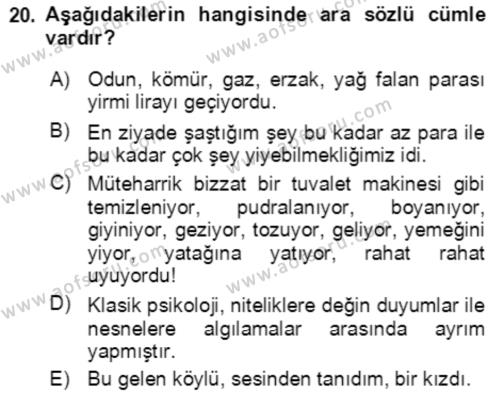 Türkçe Cümle Bilgisi 2 Dersi 2021 - 2022 Yılı Yaz Okulu Sınavı 20. Soru