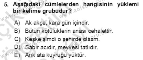 Türkçe Cümle Bilgisi 2 Dersi 2021 - 2022 Yılı Yaz Okulu Sınavı 5. Soru