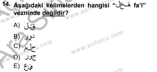 Osmanlı Türkçesi Grameri 1 Dersi 2012 - 2013 Yılı (Vize) Ara Sınavı 14. Soru