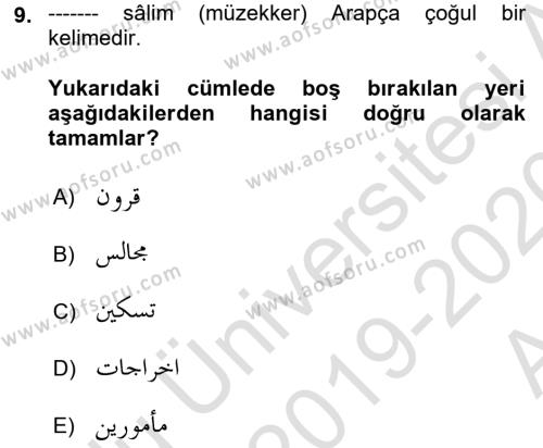 Osmanlı Türkçesi Grameri 1 Dersi 2019 - 2020 Yılı (Vize) Ara Sınavı 9. Soru