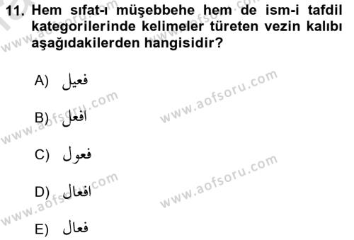 Osmanlı Türkçesi Grameri 1 Dersi 2021 - 2022 Yılı Yaz Okulu Sınavı 11. Soru