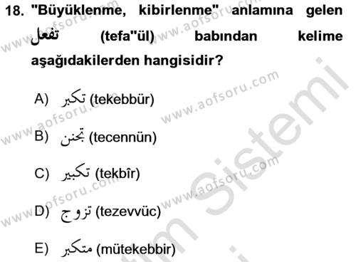 Osmanlı Türkçesi Grameri 1 Dersi 2022 - 2023 Yılı (Vize) Ara Sınavı 18. Soru