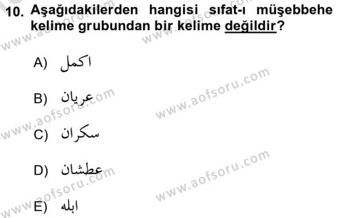 Osmanlı Türkçesi Grameri 1 Dersi 2022 - 2023 Yılı Yaz Okulu Sınavı 10. Soru