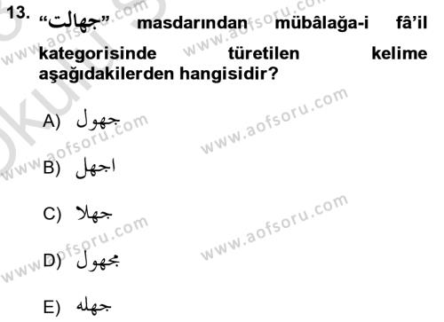 Osmanlı Türkçesi Grameri 1 Dersi 2022 - 2023 Yılı Yaz Okulu Sınavı 13. Soru