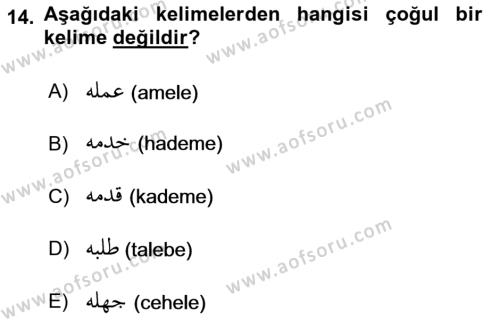 Osmanlı Türkçesi Grameri 1 Dersi 2022 - 2023 Yılı Yaz Okulu Sınavı 14. Soru