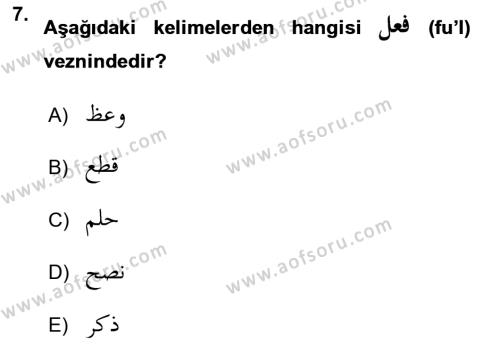 Osmanlı Türkçesi Grameri 1 Dersi 2022 - 2023 Yılı Yaz Okulu Sınavı 7. Soru